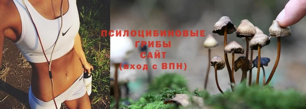 тгк Армянск