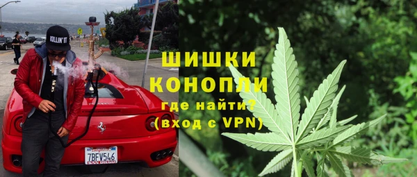 СК Аркадак