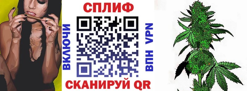 Шишки марихуана семена магазин продажи наркотиков Строитель
